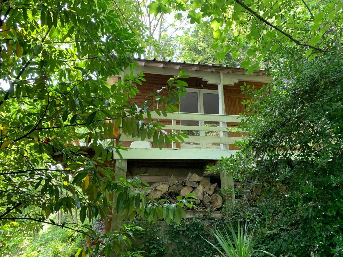 Villa Chalet En Bord De Seine à Le Coudray-Montceaux Extérieur photo